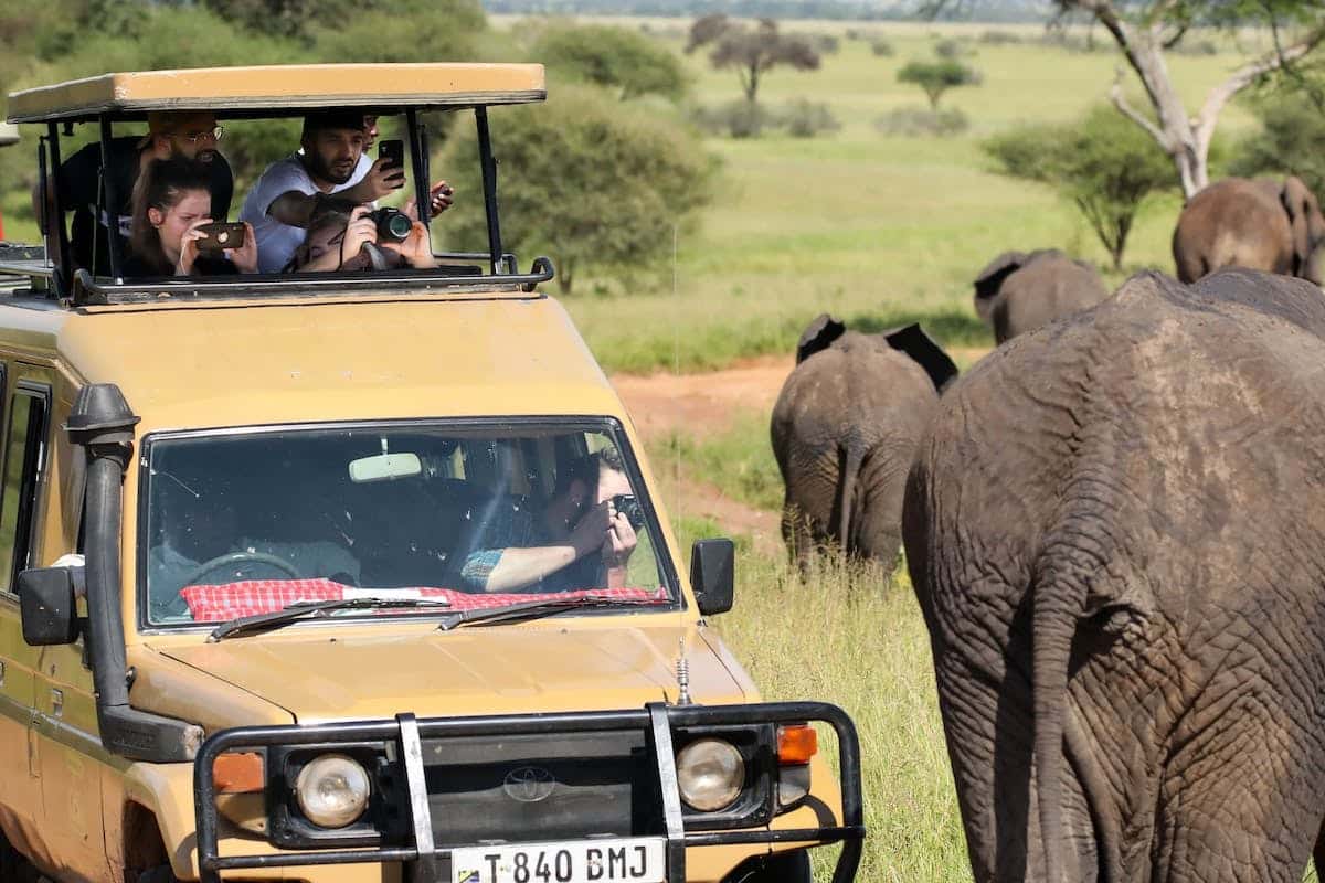 Découvrez Des Safaris Exceptionnels à Travers Le Monde Et Vivez L ...